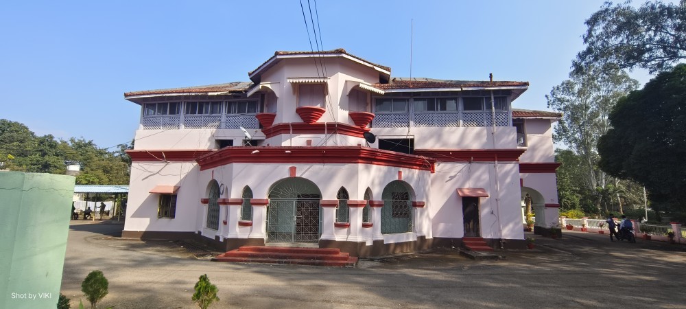 British colonial design featuring palm trees and architecture.